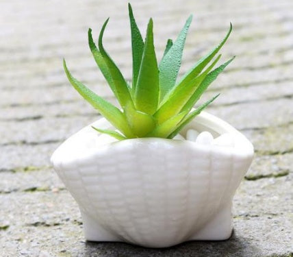 6 Pieces set Mini Shell Shaped Ceramic Planters