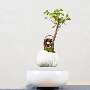 Magnetic Levitation Potted Plants