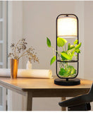 Minimalist Creative Garden Hydroponic Plant Dining Room Bedroom Decorative Glass Lamp