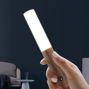 Intelligent Human Body Sensing Night Light LED